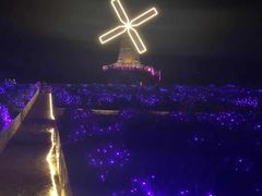 -大塘金香草谷