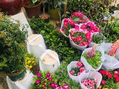 -金陵花卉交易市场