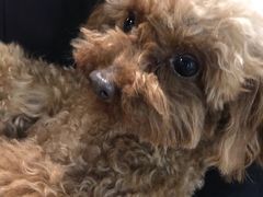 -白兔子密室(长寿路店)