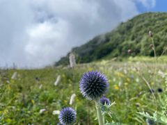 -白草畔自然风景区
