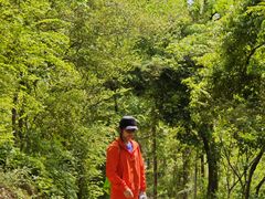 -青龙山国家森林公园
