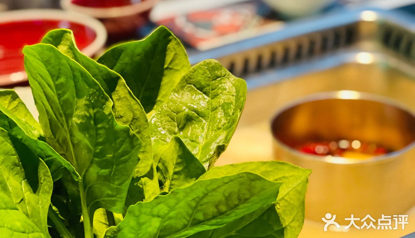 怎么知道我都爱！终于等到猪肚鸡和成都火锅拼锅咯