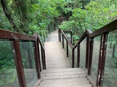 -佛慧山