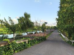 -乌村