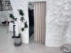 -BOF HAIR BY HONTO