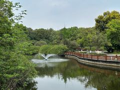-成都南湖公园