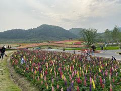 -径山花海