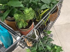 -鹿岛会员店 (龙湖三千集天街店)