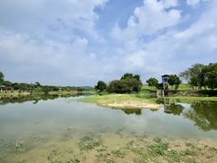 -鹤之洲湿地公园