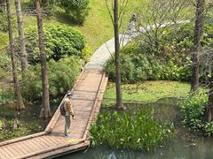 -云溪植物园