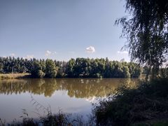 -白渔泡湿地公园