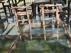 -合肥滨湖国家森林公园