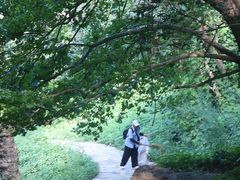 -秦岭终南山世界地质公园翠华山景区