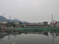 -南山植物园
