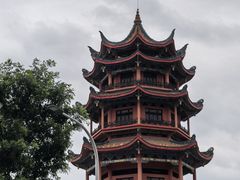-松树干拌面店