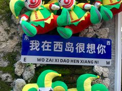 -三亚西岛海洋文化旅游区