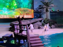 -海合安武汉极地海洋公园