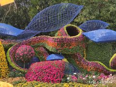 -上海共青森林公园