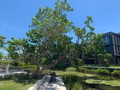 -星巴克(深圳前海企业公馆店)