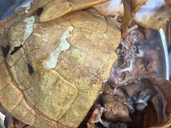 -农汤老店(顺联公园里店)