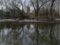 -玲珑塔公园