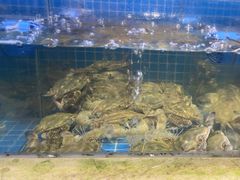 -妈妈菜舟山海鲜(定海古城店)
