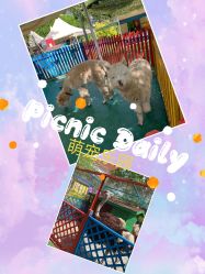 -萌宠亲子动物乐园(槐房万达店)