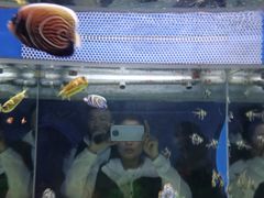 -烟台海昌鲸鲨海洋公园