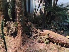 -浙江自然博物院(杭州馆)