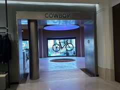 -乐蓬马歇百货公司(Rive Gauche)