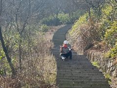 -北仑森林植物园