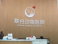 -联合动物医院(光谷诊疗中心)