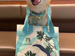 -星巴克臻选(郑州中原万达店)