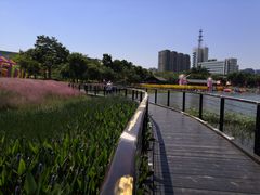 -映月湖公园
