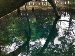 -蝴蝶泉公园