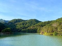 -广州白江湖森林公园