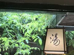 -汤宴·参须肚包鸡(南京路店)