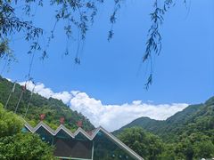 -牛背梁国家森林公园
