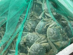 -济南海鲜大市场