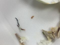 -老廣食堂(区庄店)