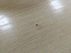 -姚记六鲜面(大方巷店)