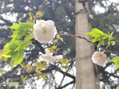 -西安市长乐公园