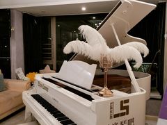 -乐尚音乐空间·钢琴·声乐·架子鼓(会展中心店)