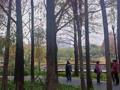 -四海公园(南山区)