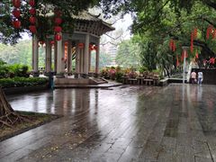 -荔湾湖公园