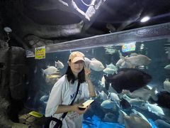 -多彩贵州城极地海洋世界