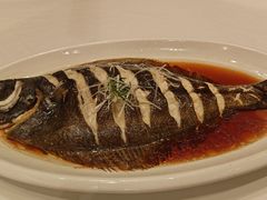 -秦皇岛秦皇国际大酒店