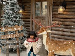 -HERRE·FARM 赫尔露营农场·团建聚会包场