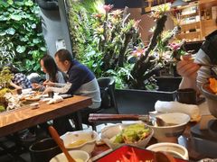-森味薪火烧•烧鸟居酒屋•日本料理(望京店)