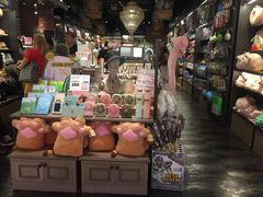 -酷乐潮玩(金桥国际店)